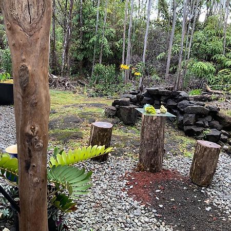 Exotic Garden Cottage At Amazing Volcano Fissure Mountain View Exteriér fotografie