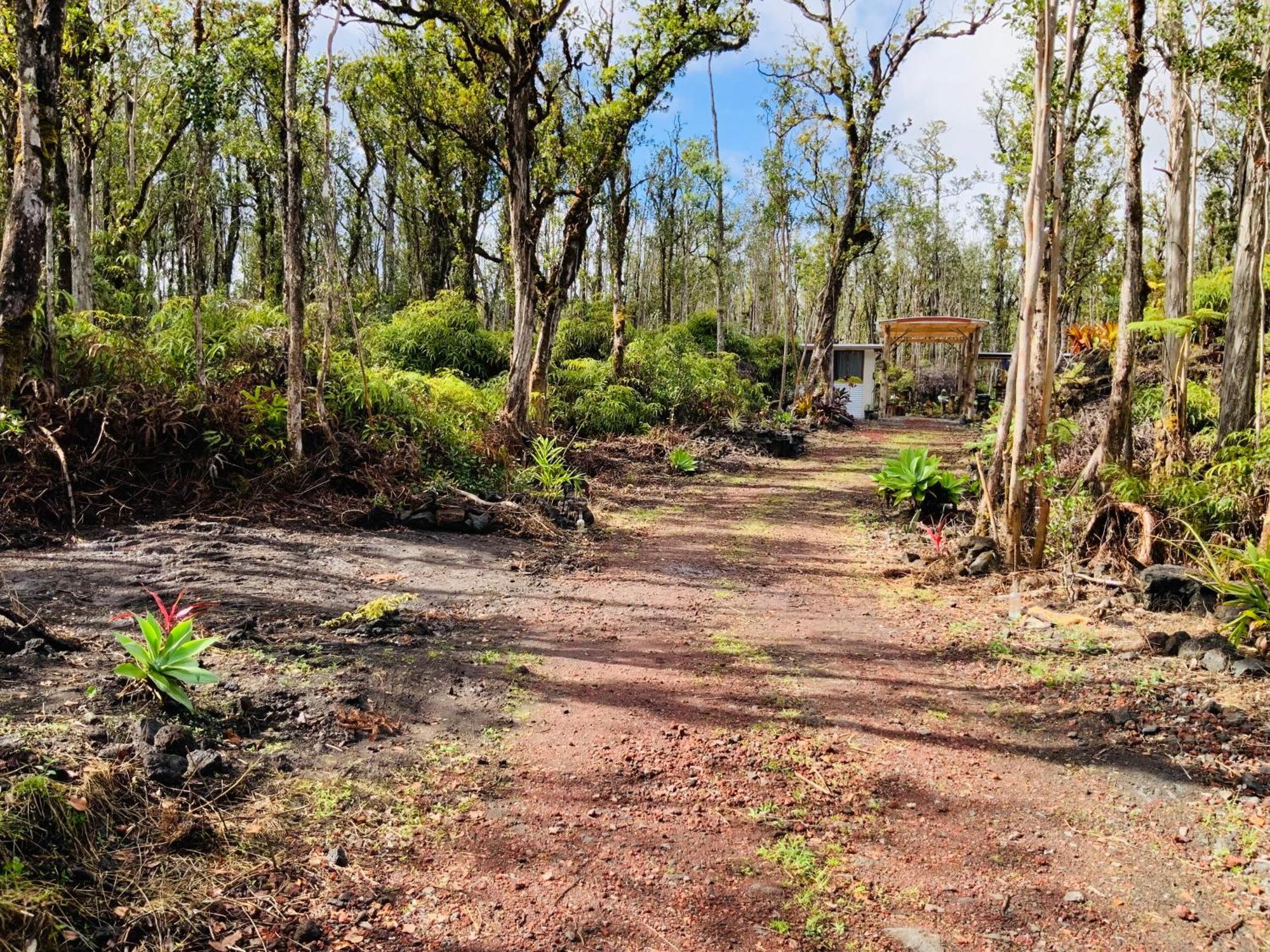 Exotic Garden Cottage At Amazing Volcano Fissure Mountain View Exteriér fotografie