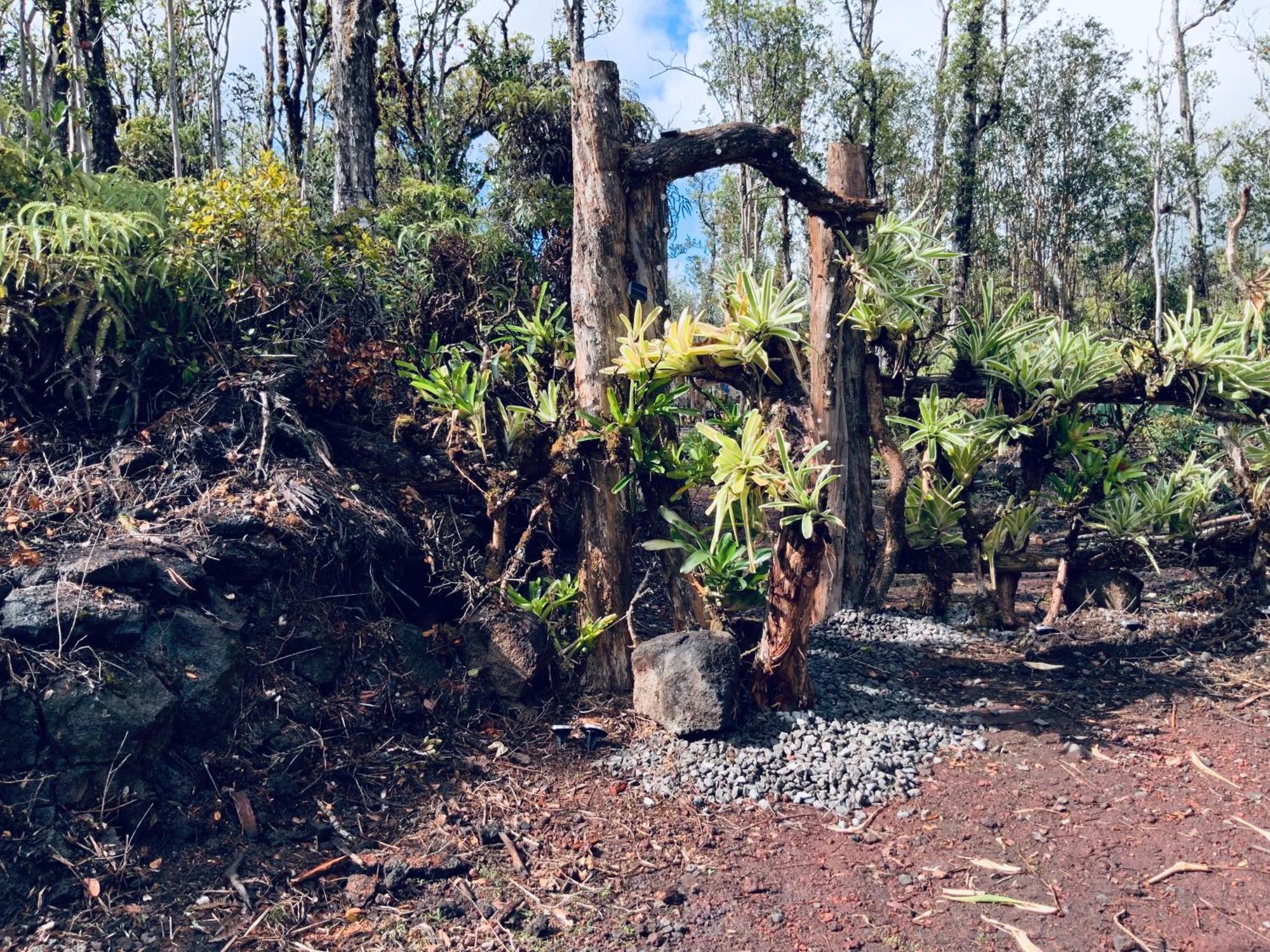 Exotic Garden Cottage At Amazing Volcano Fissure Mountain View Exteriér fotografie