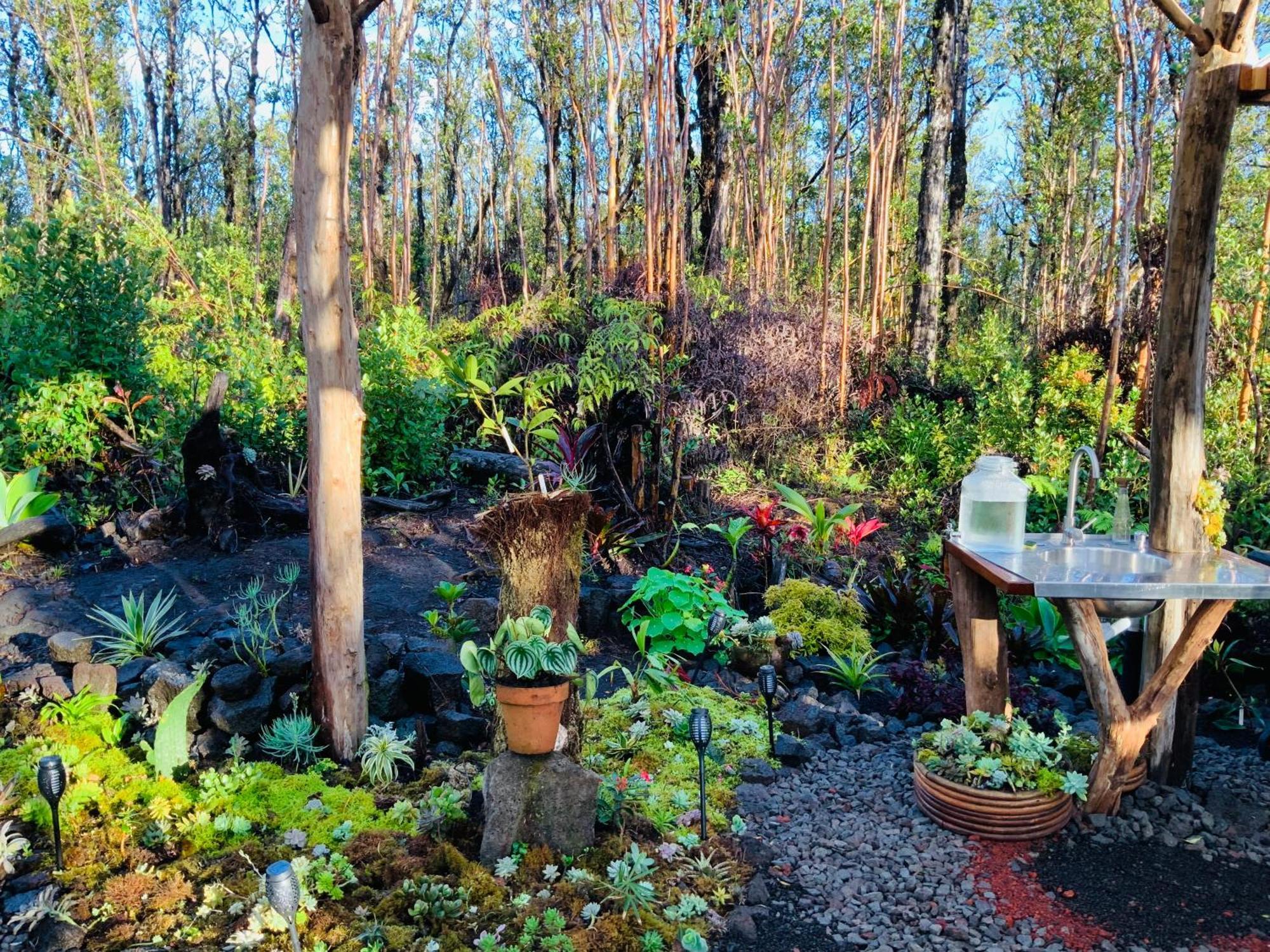 Exotic Garden Cottage At Amazing Volcano Fissure Mountain View Exteriér fotografie