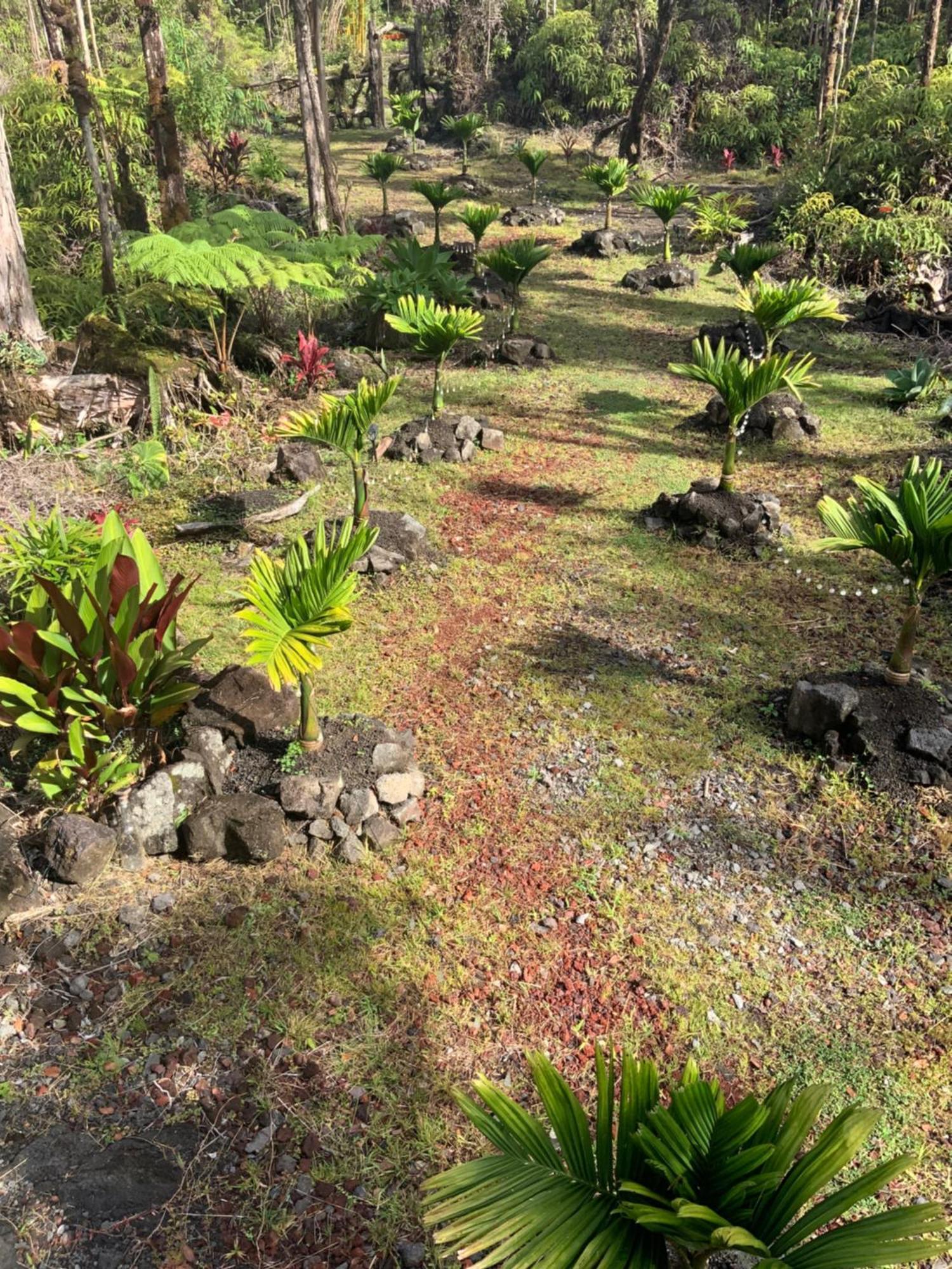 Exotic Garden Cottage At Amazing Volcano Fissure Mountain View Exteriér fotografie