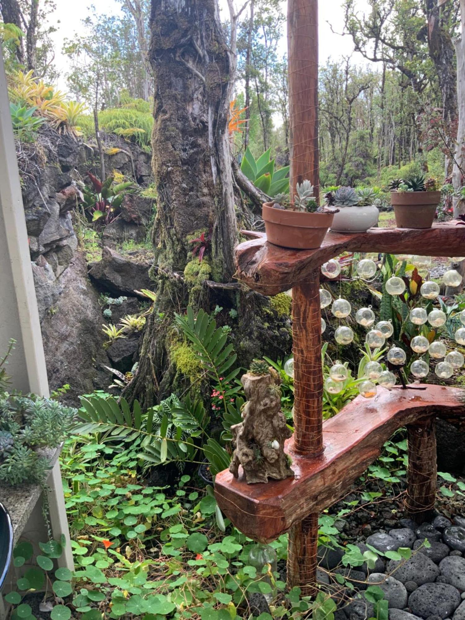 Exotic Garden Cottage At Amazing Volcano Fissure Mountain View Exteriér fotografie