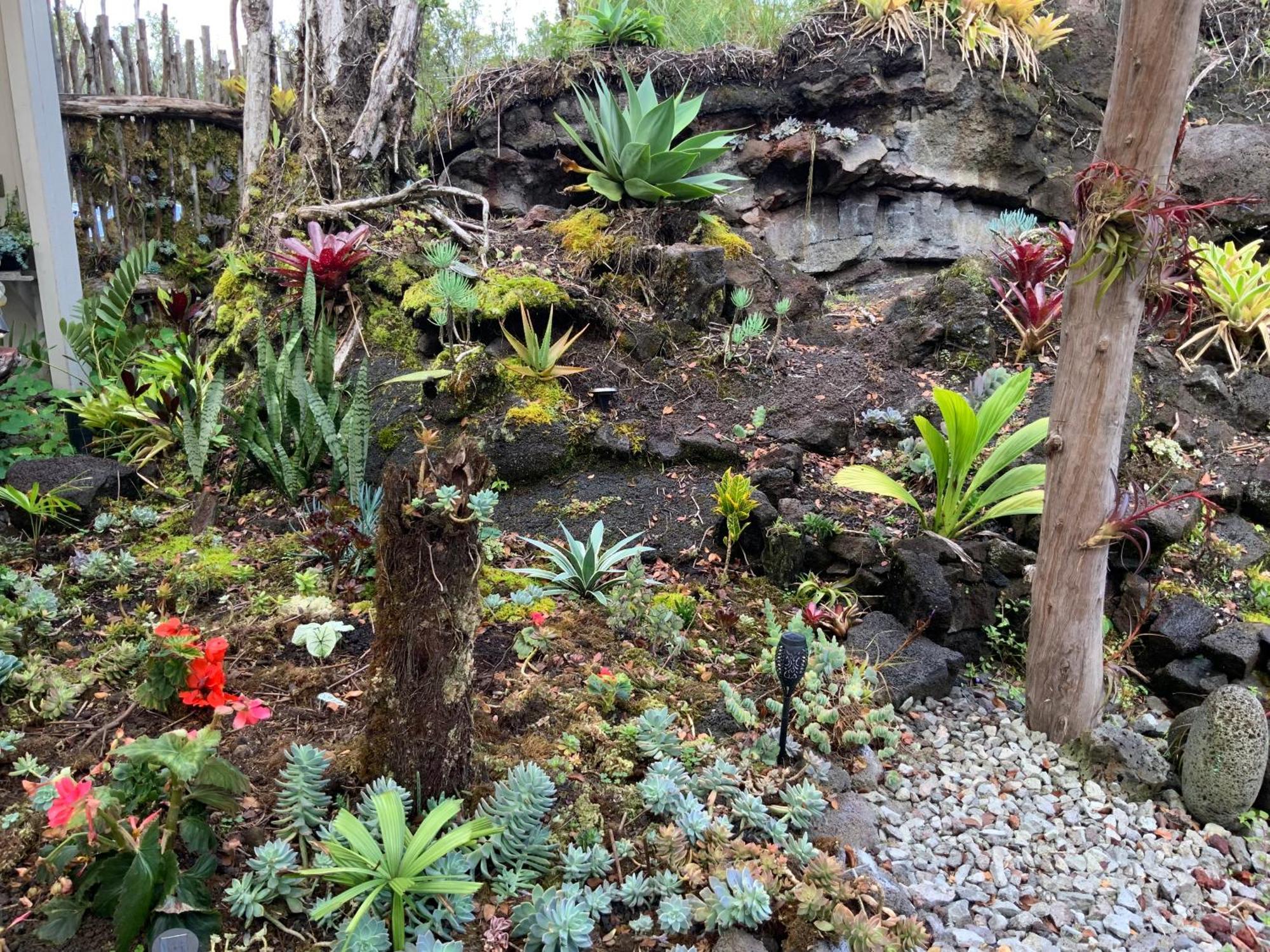 Exotic Garden Cottage At Amazing Volcano Fissure Mountain View Exteriér fotografie