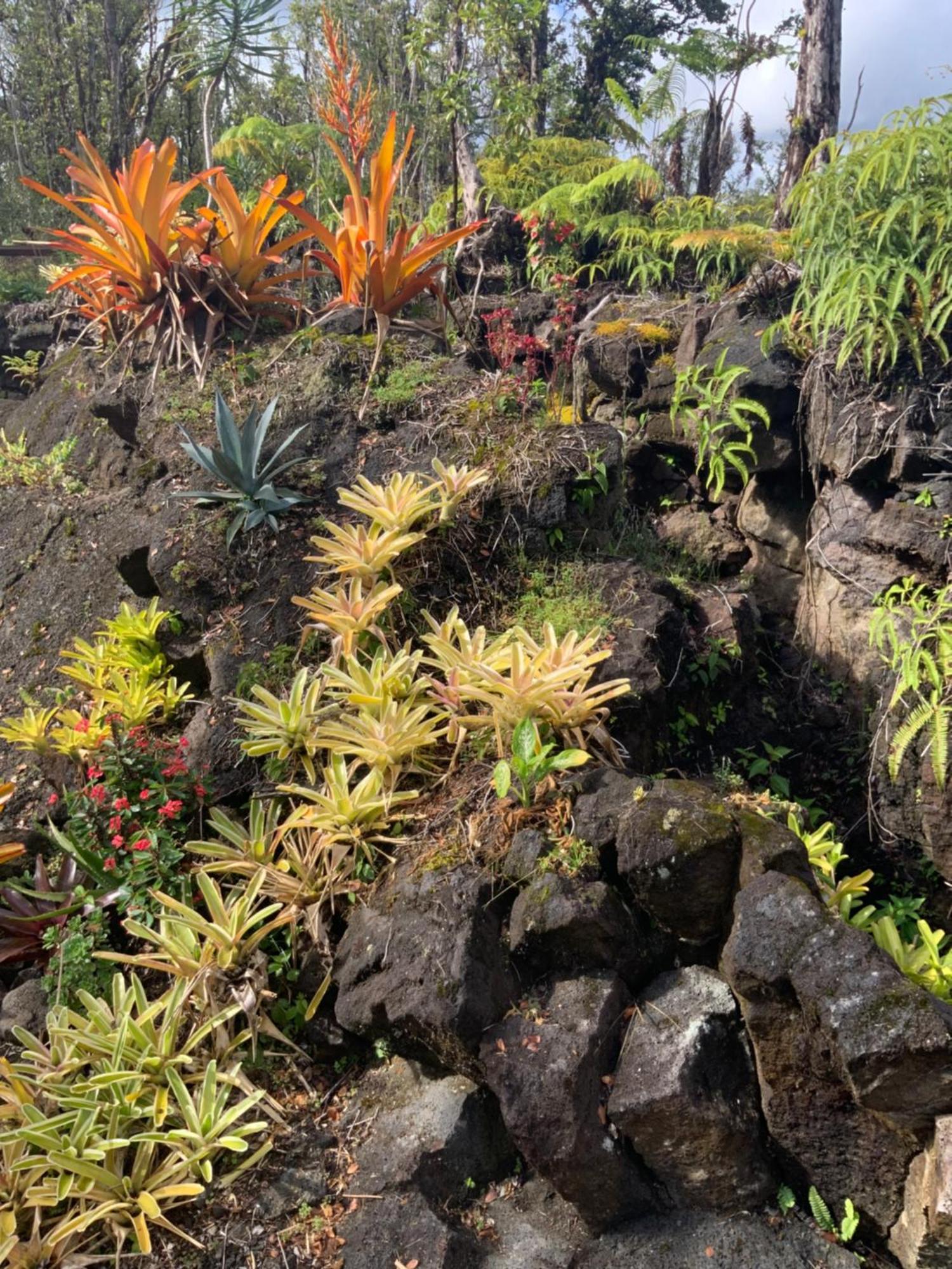 Exotic Garden Cottage At Amazing Volcano Fissure Mountain View Exteriér fotografie