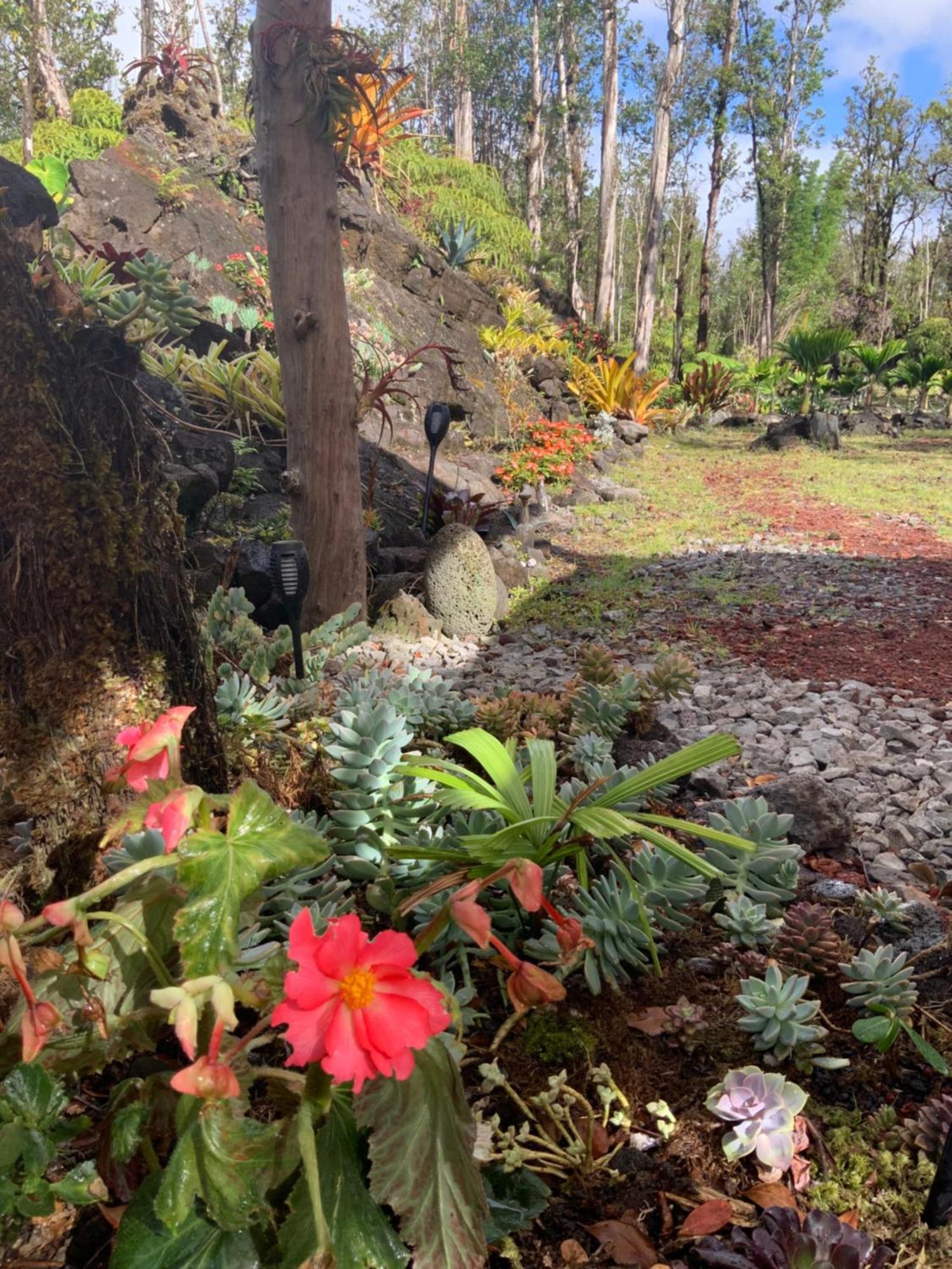 Exotic Garden Cottage At Amazing Volcano Fissure Mountain View Exteriér fotografie