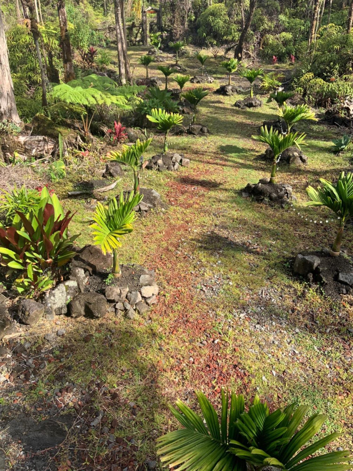 Exotic Garden Cottage At Amazing Volcano Fissure Mountain View Exteriér fotografie