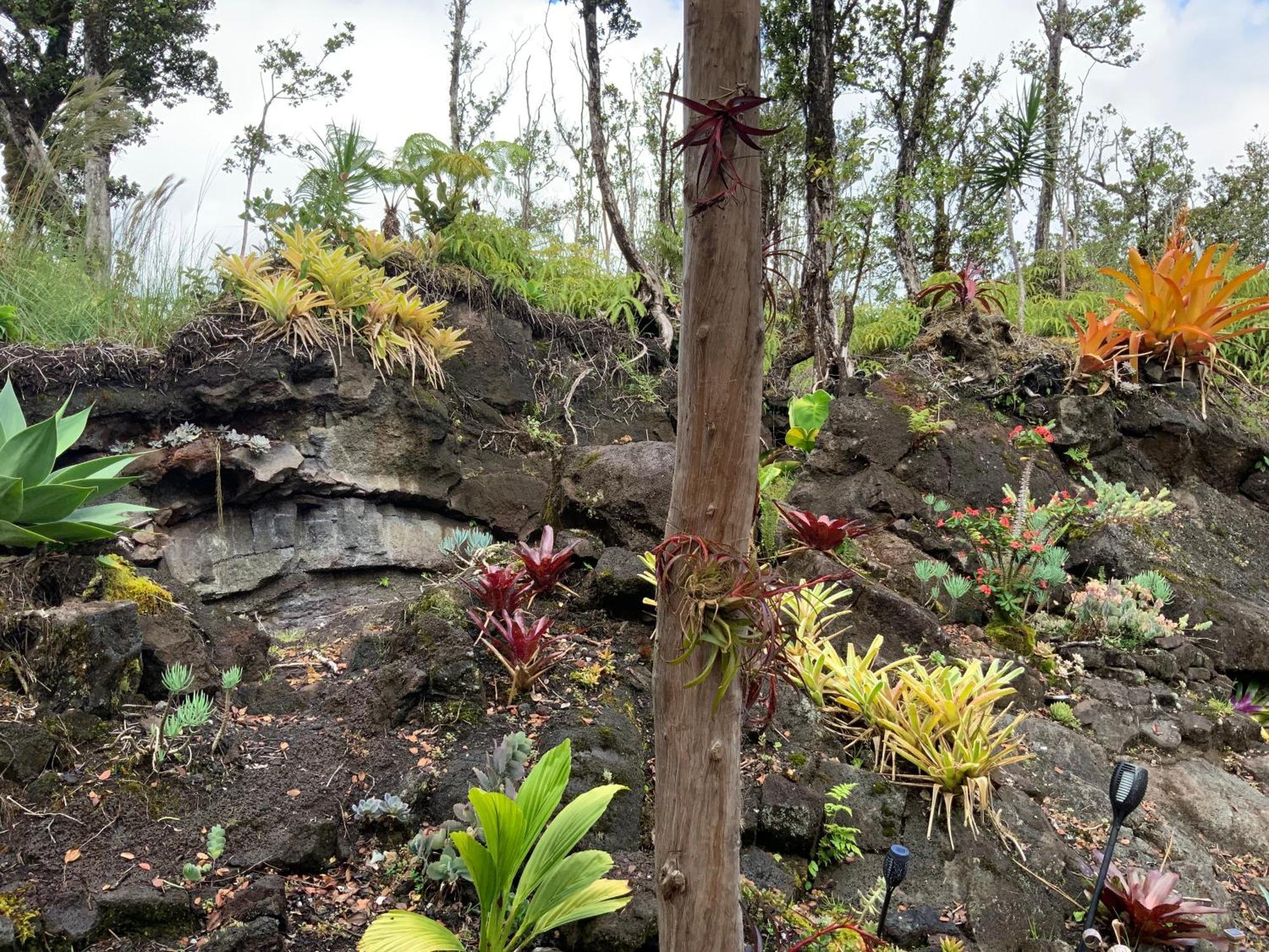 Exotic Garden Cottage At Amazing Volcano Fissure Mountain View Exteriér fotografie