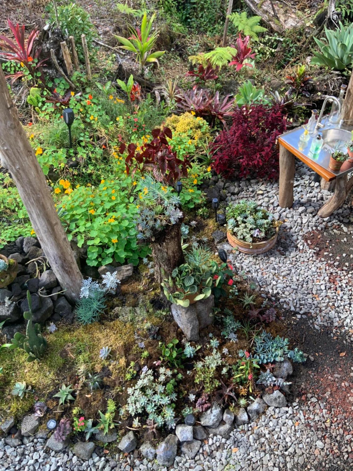 Exotic Garden Cottage At Amazing Volcano Fissure Mountain View Exteriér fotografie