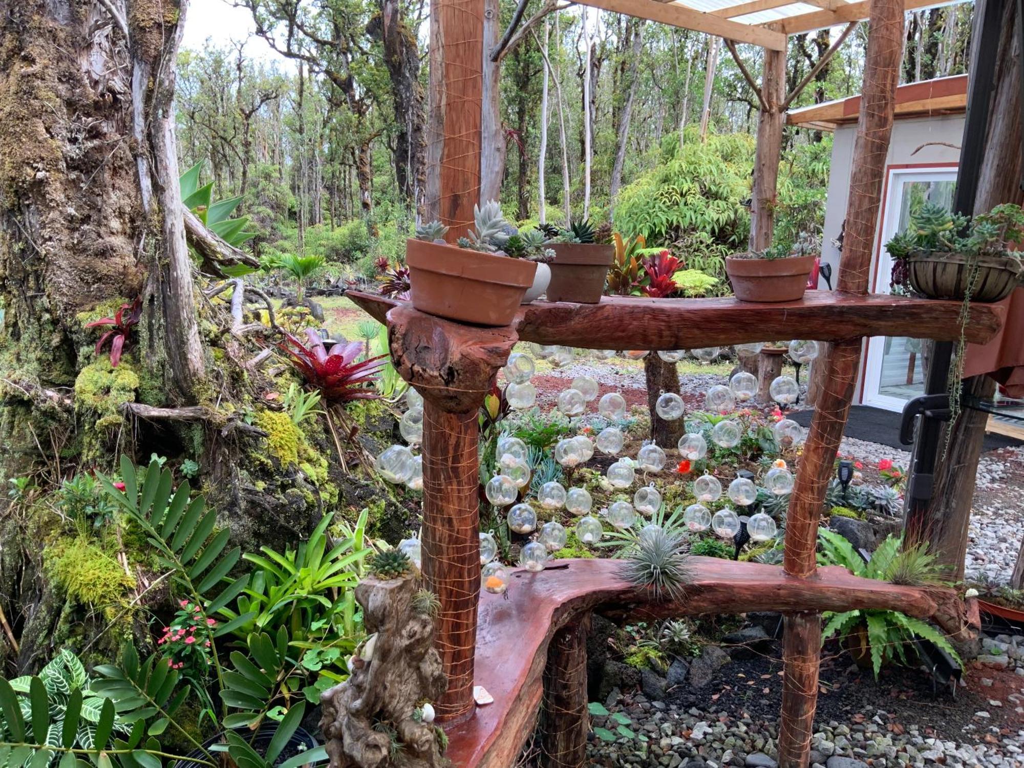 Exotic Garden Cottage At Amazing Volcano Fissure Mountain View Exteriér fotografie