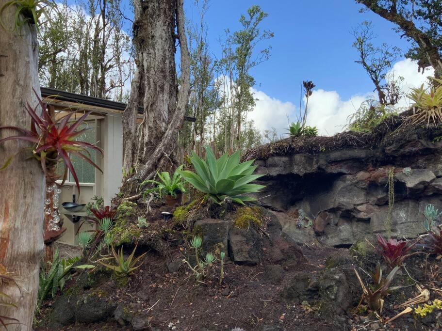 Exotic Garden Cottage At Amazing Volcano Fissure Mountain View Exteriér fotografie