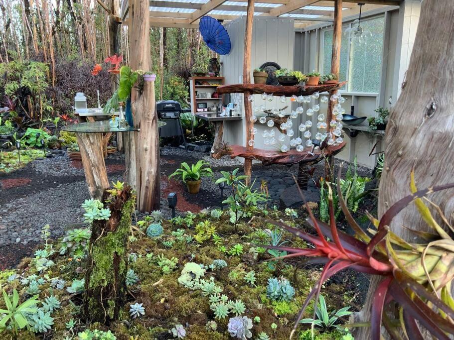 Exotic Garden Cottage At Amazing Volcano Fissure Mountain View Exteriér fotografie