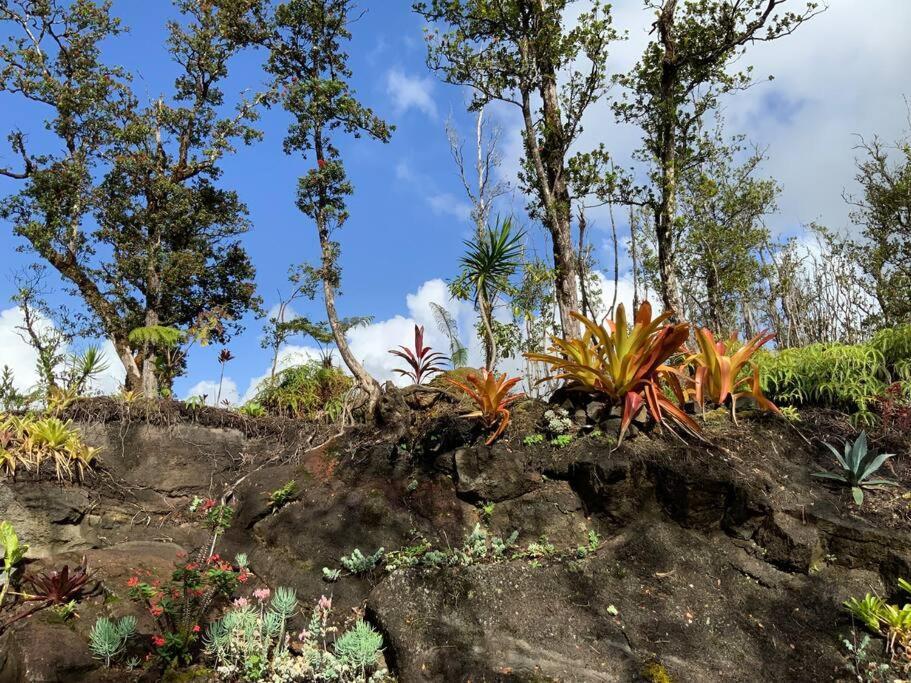 Exotic Garden Cottage At Amazing Volcano Fissure Mountain View Exteriér fotografie
