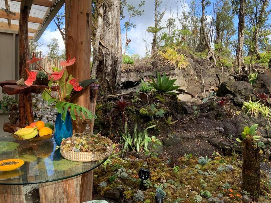 Exotic Garden Cottage At Amazing Volcano Fissure Mountain View Exteriér fotografie
