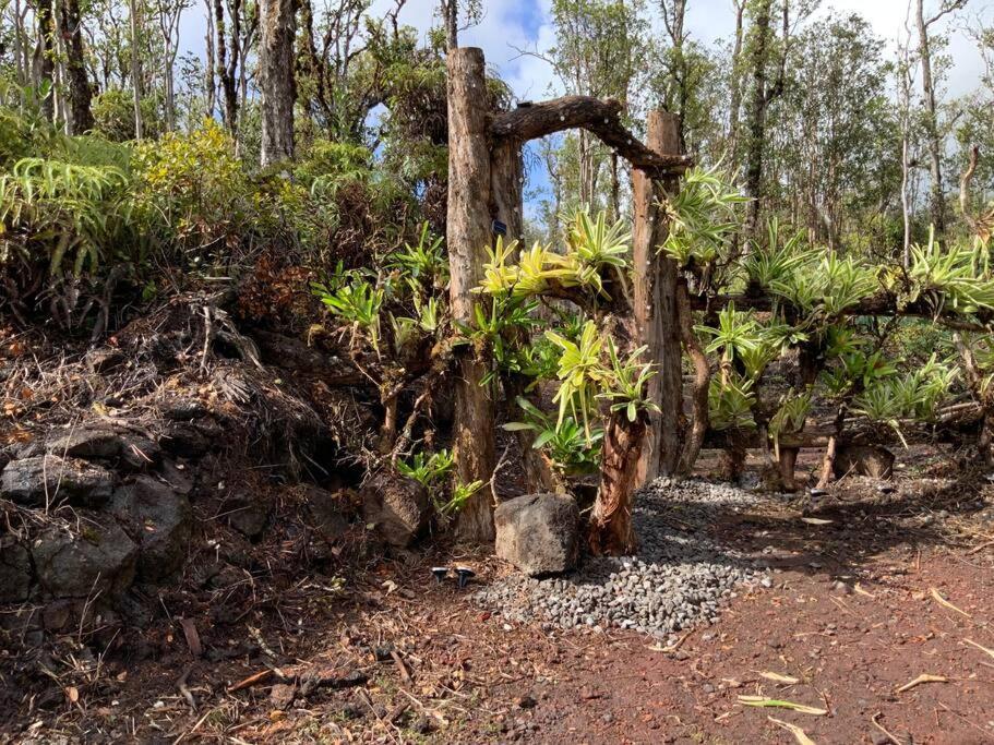 Exotic Garden Cottage At Amazing Volcano Fissure Mountain View Exteriér fotografie