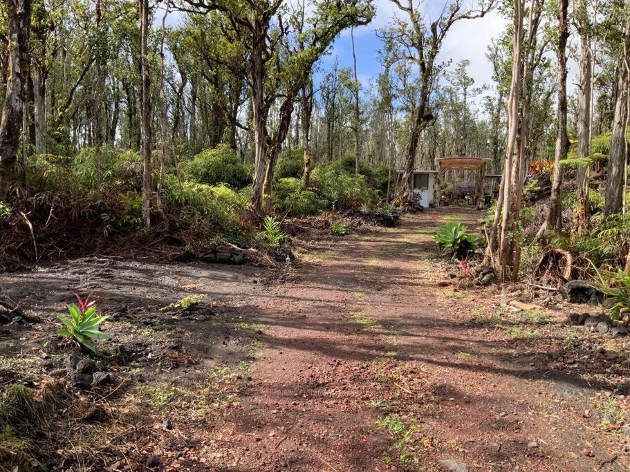 Exotic Garden Cottage At Amazing Volcano Fissure Mountain View Exteriér fotografie